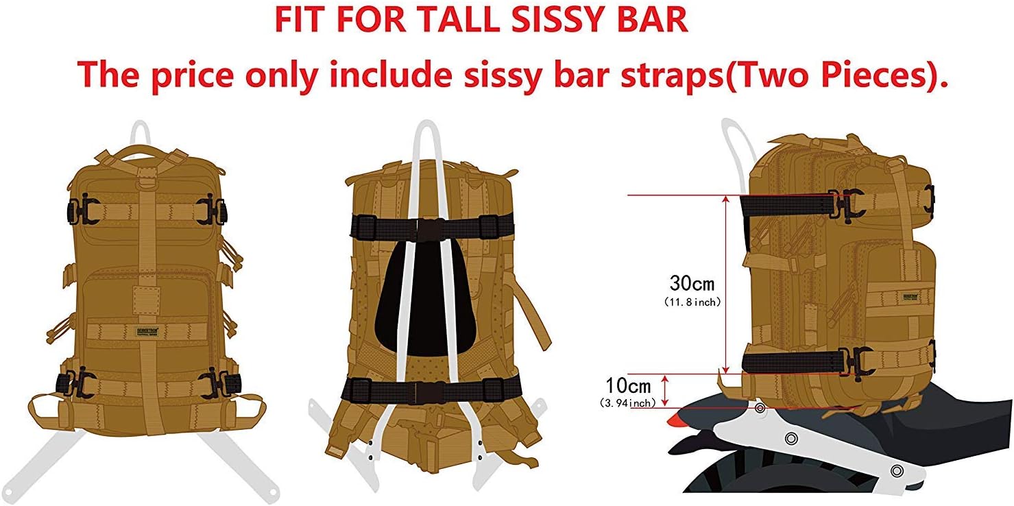 backpack with luggage strap